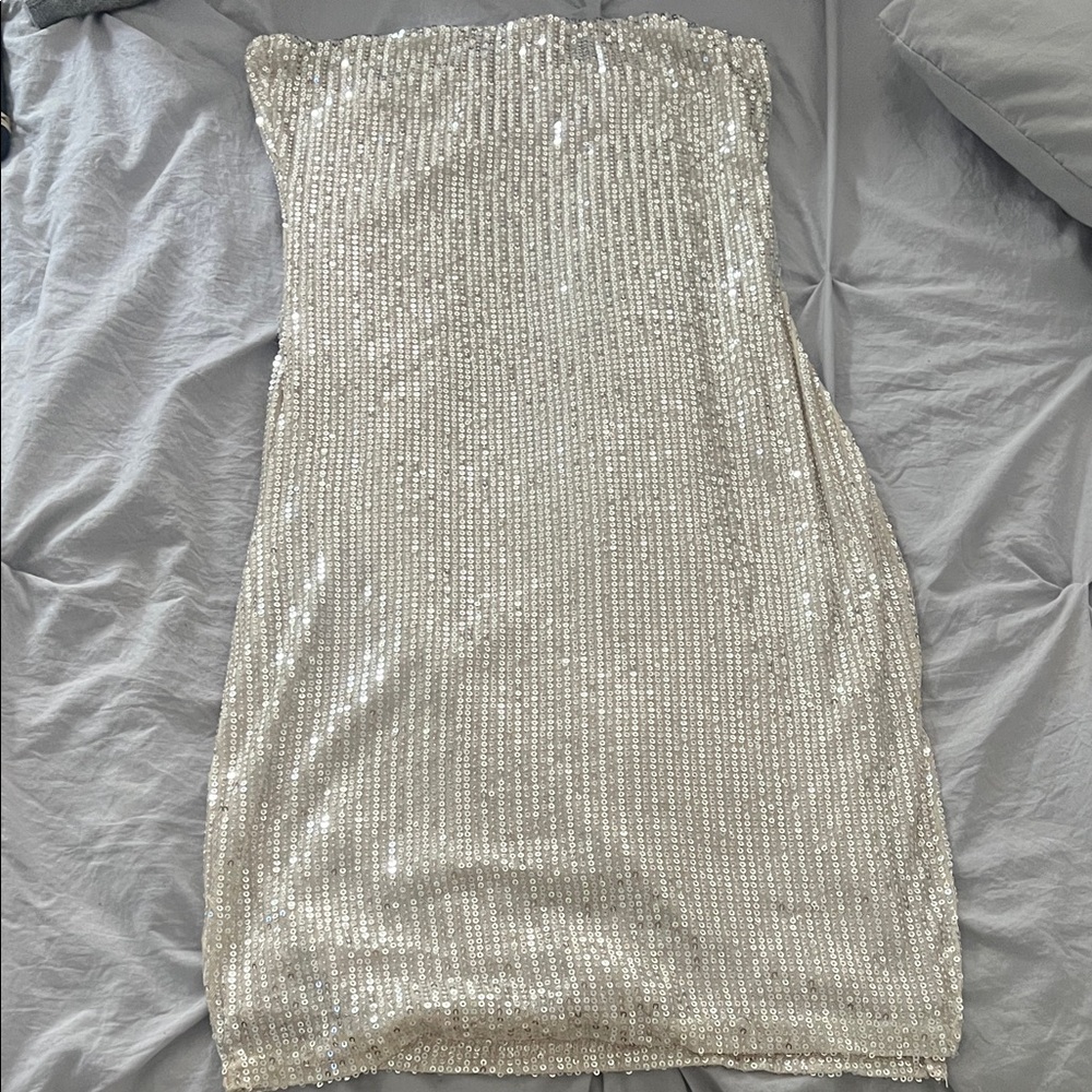 Windsor Strapless Silver Sequin Dress
